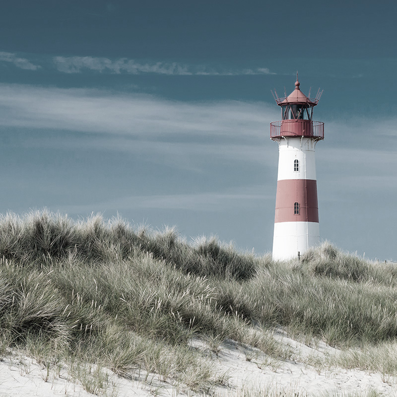 Image hover effect image